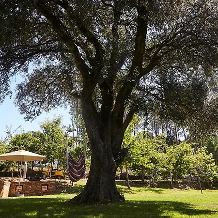 Casa Da Oliveira *